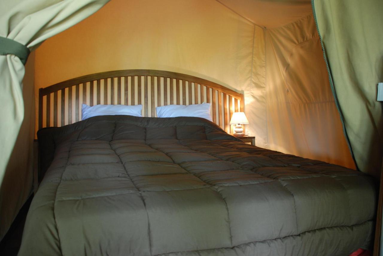 Sillé-le-Guillaume Camping Les Tournesols מראה חיצוני תמונה